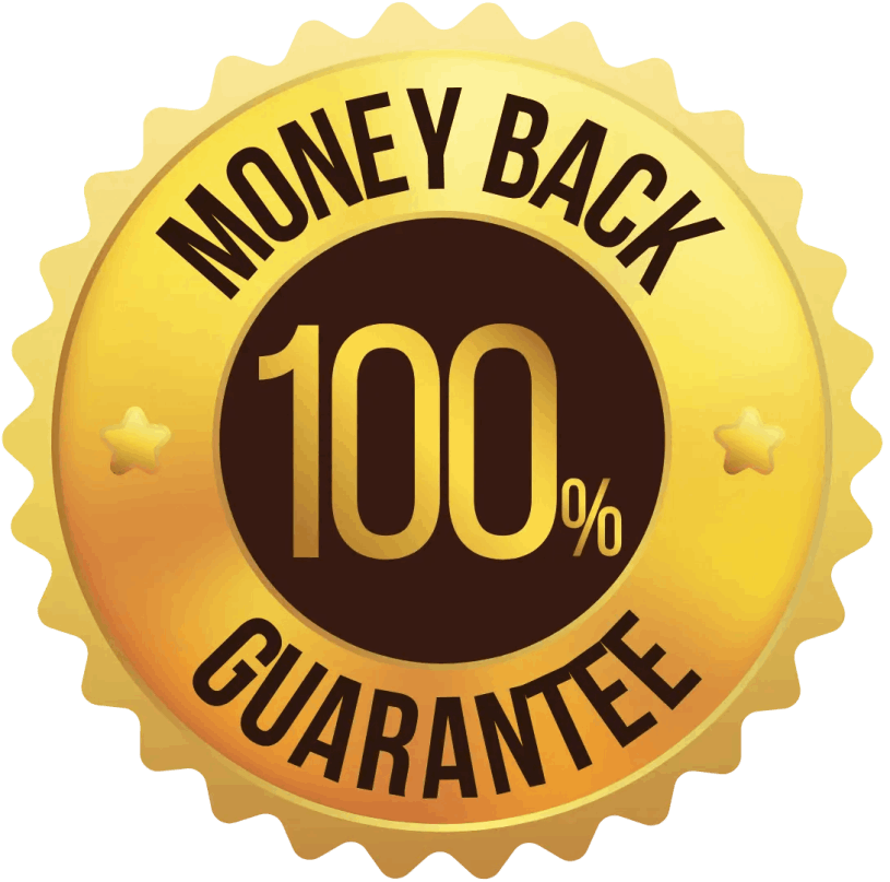 The Brain song-money back guarantee